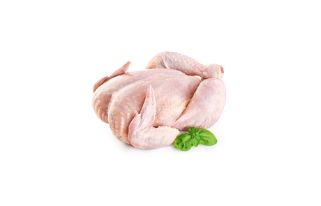 Fresh Poultry