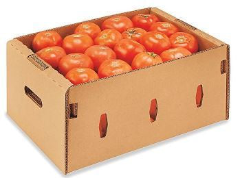 Tomato Fresh 5x6 25LB Case